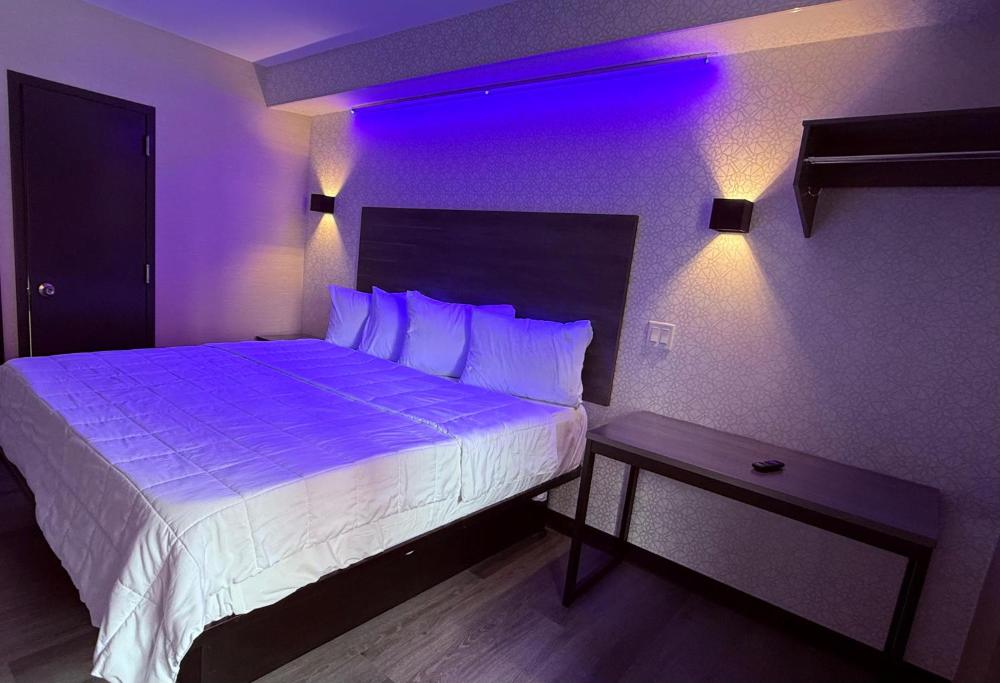 King Room interior